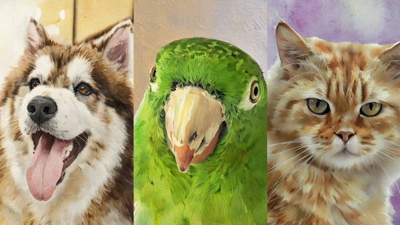 new watercolor per portrait featured image